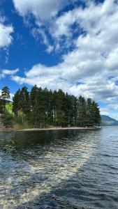 a large body of water with trees on the shore at Paradis ved Norefjell in Surteberg
