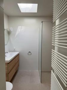 a bathroom with a shower and a sink at Apartment Bel-Air in Knokke-Heist +77 photos