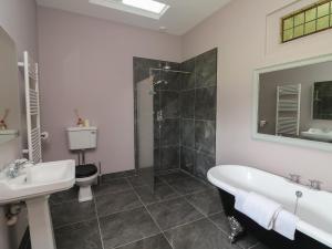 a bathroom with a tub and a toilet and a sink at Bohan Bo in Kilmuckridge