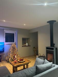 a living room with a couch and a fireplace at Chez David & Magali in Dommartin-lès-Remiremont