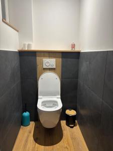 a bathroom with a white toilet in a room at Chez David & Magali in Dommartin-lès-Remiremont +5 photos