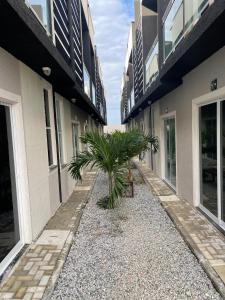 a palm tree sitting in the gravel between two buildings at Divine Duplex Próximo ao Oficina 23 Kite Surf in Caucaia