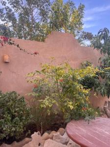 a wall with plants and a bench in a garden at Azru hotel siwa in Siwa