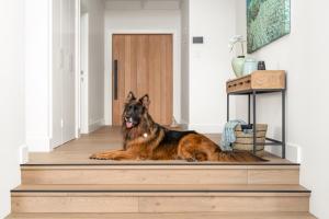 a dog laying on the floor in a hallway at The View, Albany Holiday House in Albany