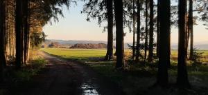 a dirt road in the middle of a field with trees at Privatzimmer Burgpanorama in Raabs an der Thaya