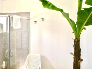 a bathroom with a shower and a plant at AAA plus in Nordeste