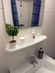a bathroom sink with a mirror and a plant on it at Nest-Unterkunft in Bad Überkingen