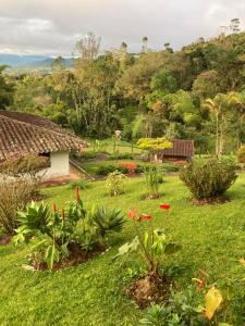 a garden with flowers in the grass at Morada de las Aves in Cali