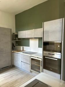 a kitchen with stainless steel appliances and green walls at Hôtel de Ville, T3, 2 chambres, 2 salles de bain in Saint-Étienne
