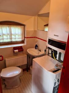 a small bathroom with a toilet and a sink at Bauernhaus Sehestedt in Sehestedt