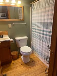 a bathroom with a toilet and a shower at Turkey Ridge Retreat in Bryson City +41 photos