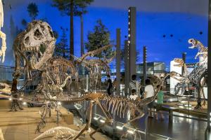 a skeleton of a dinosaur in a museum at 勝山駅徒歩1分 恐竜博物館車5分スキージャム15分 BBQ可能 シアタールーム Kidsルーム完備 駅前好立地 in Katsuyama