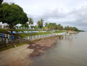 a river with a pier and palm trees on the shore at Suíte Morada das Mangueiras Térreo in Soure
