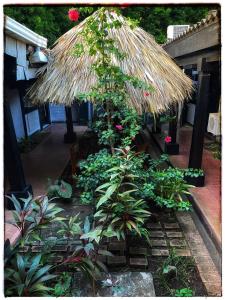 a patio with a straw umbrella and some plants at hotel Oasis Managua Experience - HOME in Managua