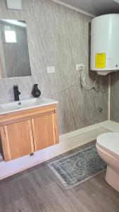 a bathroom with a sink and a toilet and a mirror at Hospedaje Avenida in Puerto Montt
