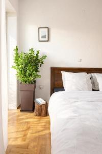 a bedroom with a bed and a potted plant at 3BR Suite 300mts from the Beach in Perea