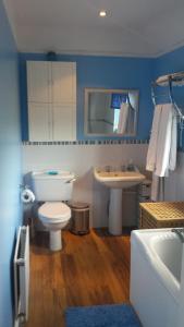 La salle de bains bleue est pourvue de toilettes et d'un lavabo. dans l'établissement Chimneys B & B, à Ipswich