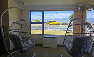 two hanging hammocks in a room with a window at Tranquil Tides in Motueka