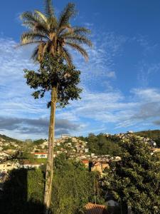 a palm tree in the middle of a city at Pouso History in Ouro Preto