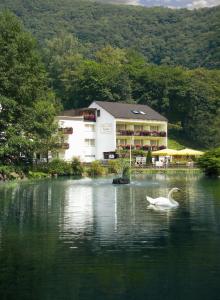 a swan swimming in a lake in front of a building at Hotel Residenz in Bad Bertrich