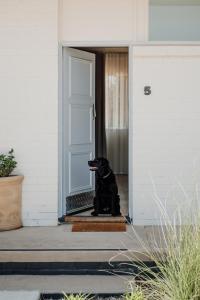 a black dog sitting in the doorway of a house at The Cudgee at Mudgee in Mudgee