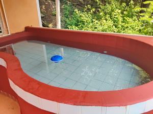 a small pool with a blue ball in the middle at Casa Blanca Zipolite, Dream House in Zipolite
