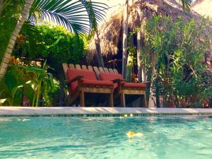 two chairs and a swimming pool in a garden at Hacienda La Rusa in Barra de Potosi