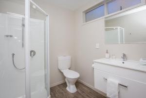 a bathroom with a toilet and a sink and a shower at Greyfriars Motel in Greytown