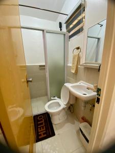 a bathroom with a shower and a toilet and a sink at Olango Island - S&E-1 Tiny Guest House Fully Furnished with Hot Shower, Washer, Wi-Fi, Netflix & King-size Bed in Lapu Lapu City