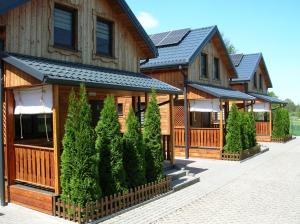 a row of houses with trees in front of them at CYKADY domki letniskowe Okuninka in Okuninka