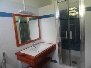 a bathroom with a sink and a glass shower at Gîtes Dardanelle in Bouillante