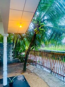 a palm tree in front of a fence at Frida Cove in Weligama