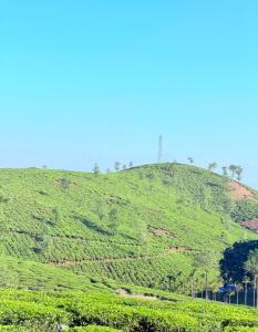 a green hill with trees on top of it at Budget Appartments Thekkady in Thekkady