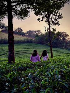 two girls sitting in the grass in a field at FroZen NeST in Vagamon +7 photos