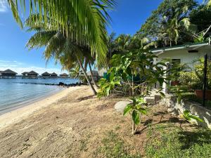 a beach with palm trees and a house and the water at Eli Beach House in Vaiorea
