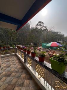 a fence with potted plants on it with a picnic table at Padma Riverside Homestay Tabakoshi in Mirik