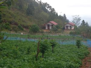a farm with houses on the side of a hill at Lucknature Cabana Kandy in Elamalwewa +11 photos