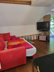 a living room with a red couch and a flat screen tv at Villa Bridler Remise in Winterthur