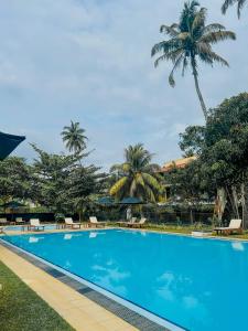 a pool at the resort at Surfing Elephant in Matara