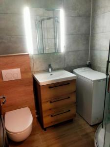 a bathroom with a sink and a toilet and a mirror at Houlgate T2 bis in Houlgate