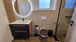 a bathroom with a sink and a toilet and a mirror at Vila Vivien in Zlín +20 photos