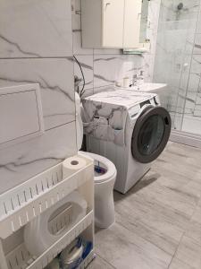 a bathroom with a washing machine next to a toilet at Tiszti Szálló Apartman in Verpelét +17 photos