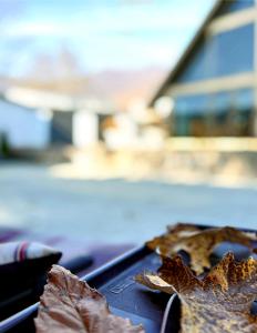a pile of leaves sitting on top of a laptop at Black A-Frame Luxury Chalet & Pool in Gabala +52 photos