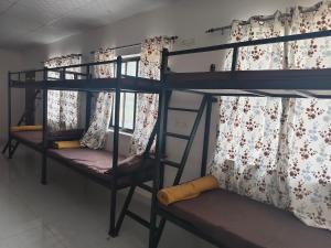 two bunk beds in a room with a window at The Rishi Van Dormitory, Khetri,Rajasthan,Farm No 52-55,Vally Drive,Retreat Nature Farms Society Complex in Khetri