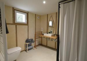 a bathroom with a toilet and a sink and a mirror at Chambre d'hôtes La Folie in Vouhé