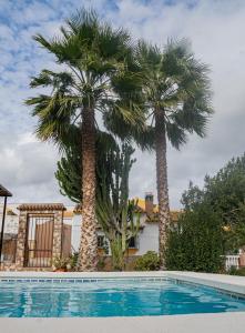 two palm trees in front of a swimming pool at Cortijo el Sendero in Alora