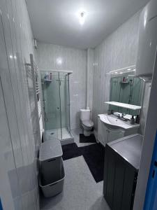 a bathroom with a sink and a toilet and a shower at L azur Jurassien séjour chaleureux dans le Jura in Saint-Claude +11 photos
