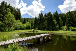 Fotografie z fotogalerie ubytování Panorama Apartment Bauernhof Mandl v destinaci Murau