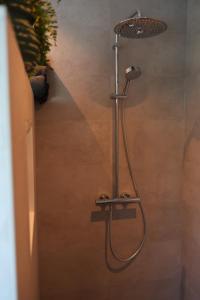 a shower with a shower head in a bathroom at Slapen bij Bioduin in Koudekerke +26 photos