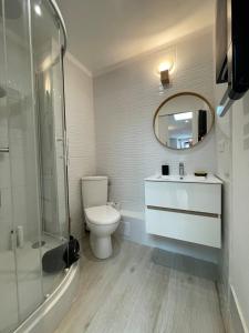 a bathroom with a toilet and a sink and a mirror at Charmant studio Hyper centre in Dreux +6 photos